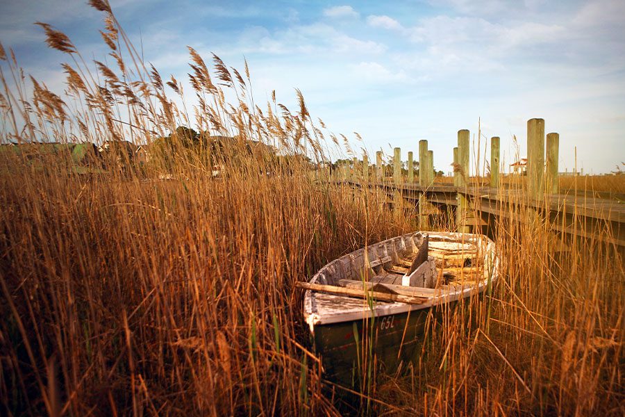 Blog - View of Row Boat in Tall Grass Along a Wooden Dock on Roanoke Island Festival Park, North Carolina